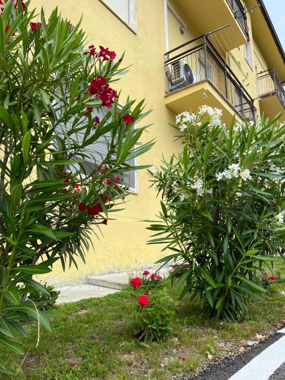 Zahrada ubytování Casa R&E
