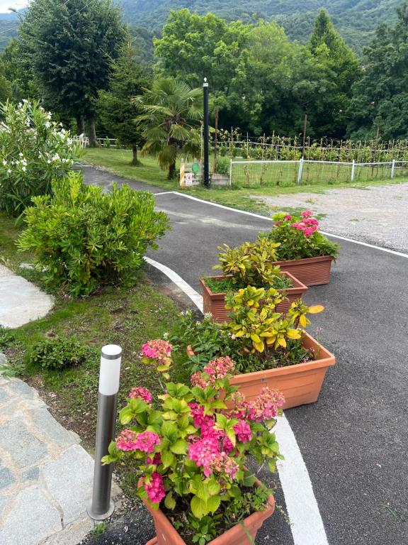 Zahrada ubytování Casa R&E