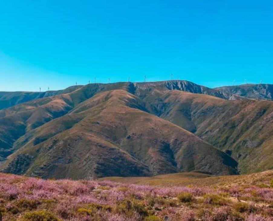 Paisagem natural perto da casa de férias