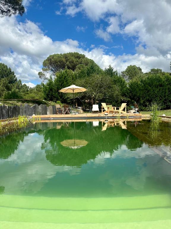 - une piscine avec un parasol et des chaises dans l'établissement Maison Magnolia, à Onesse-et-Laharie