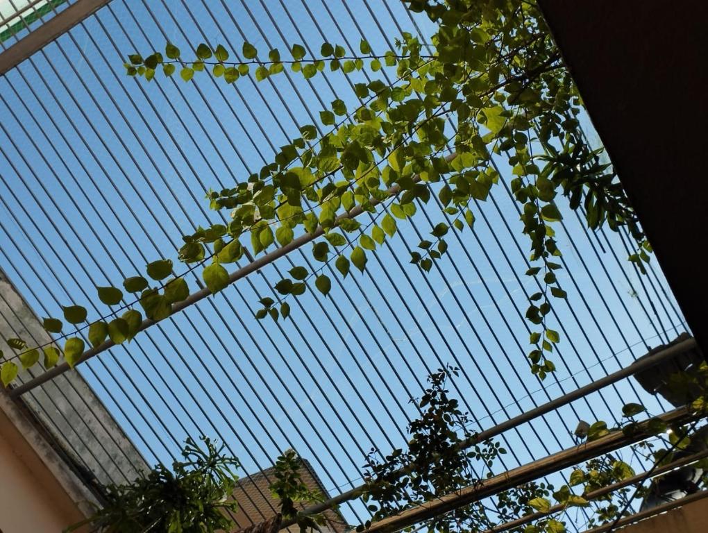 Balkón nebo terasa v ubytování Divine view - 1 bhk AC - Swarna Bhavan