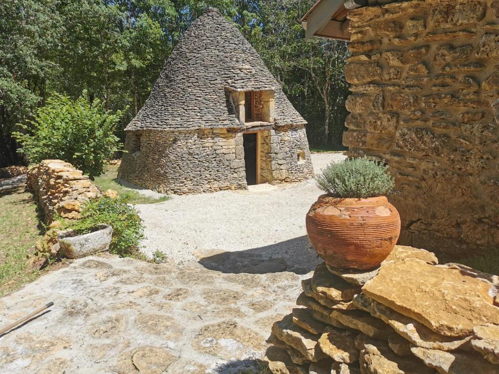 ein Steingebäude mit einer Topfpflanze an einer Steinmauer in der Unterkunft Gîte la Borie du bois Sarlat in Saint-André-dʼAllas