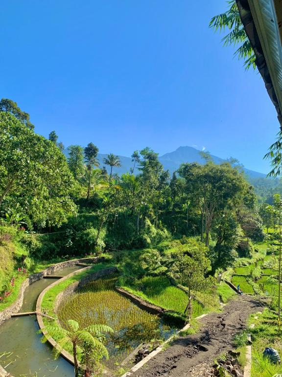 The Alam Bungalow & Restaurant - 9