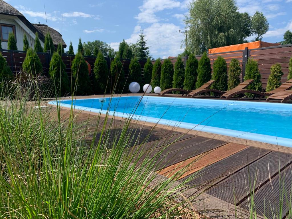 a swimming pool in a yard next to a house at Domki u Oli in Stegna