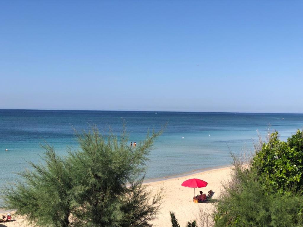 Φυσικό τοπίο κοντά σε αυτό το bed & breakfast