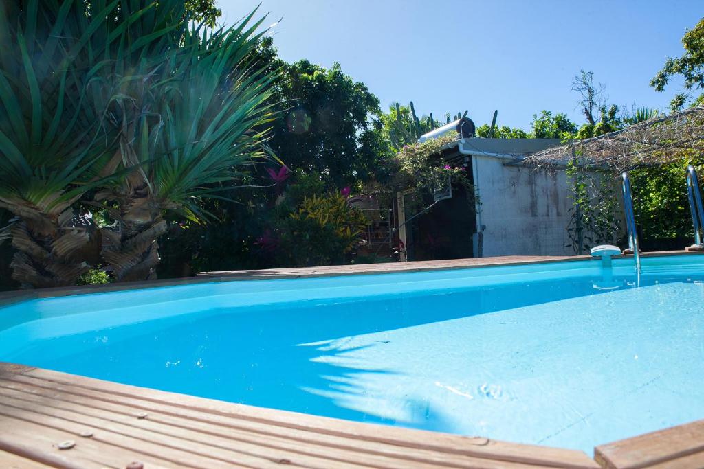une piscine bleue avec une terrasse en bois et des plantes dans l'établissement Le Cerisier côtelé, à Saint-Joseph
