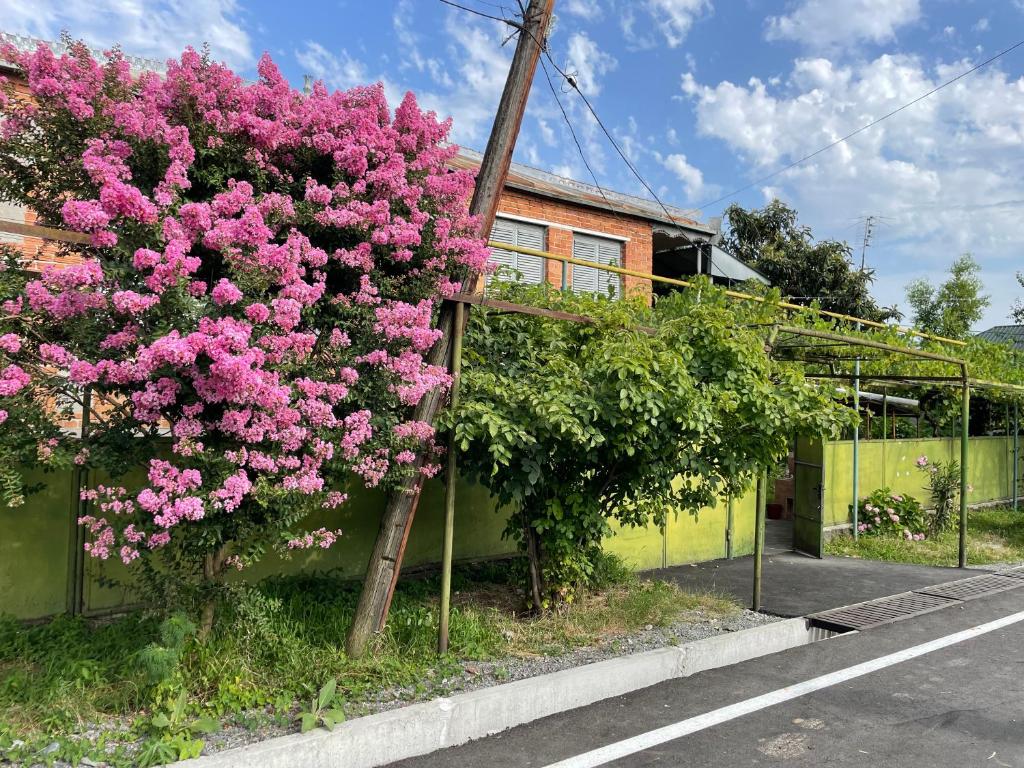 um arbusto de flores cor-de-rosa ao lado de um edifício em Green Corner em Lagodekhi