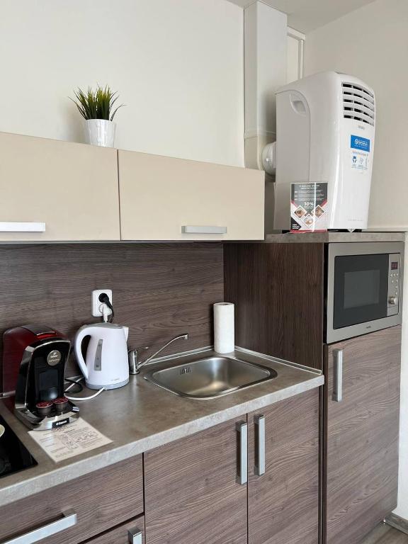 Kuchyň nebo kuchyňský kout v ubytování Hotel Residence Spalena