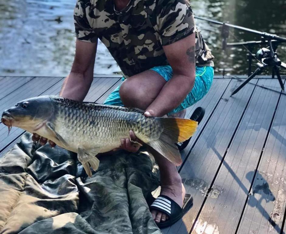 Výhled na řeku, která protéká v blízkosti chaty