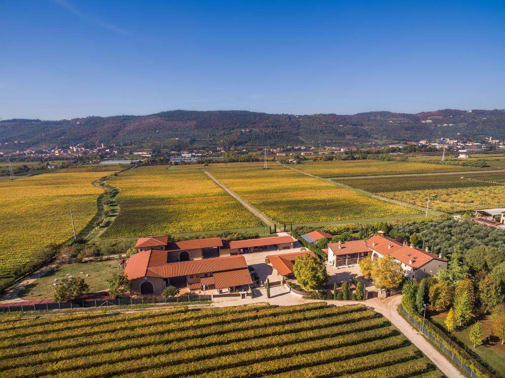 une vue aérienne sur un vignoble et une maison dans un champ dans l'établissement Agriturismo Corte Moranda, à Novaglie