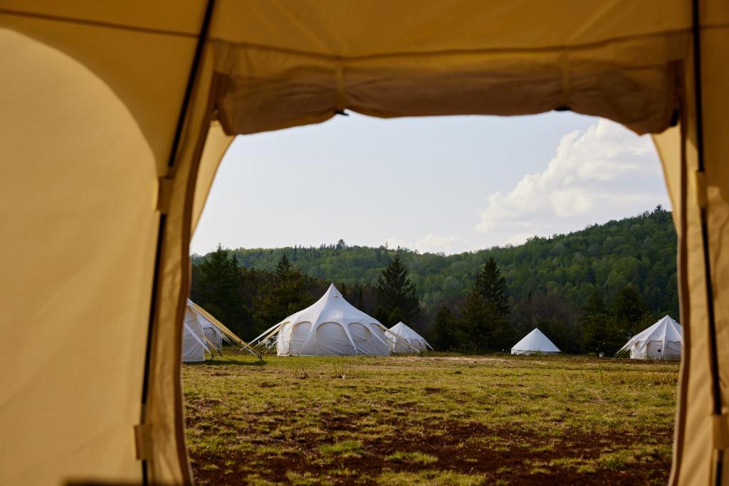 Příroda nedaleko luxury tent