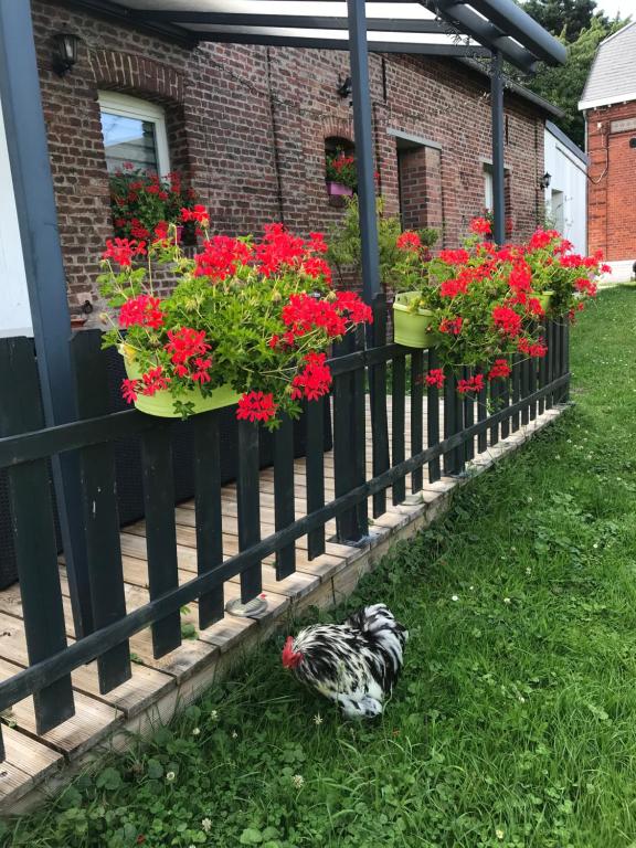 Zahrada ubytování Chambre d'hôtes "COQUELICOT"
