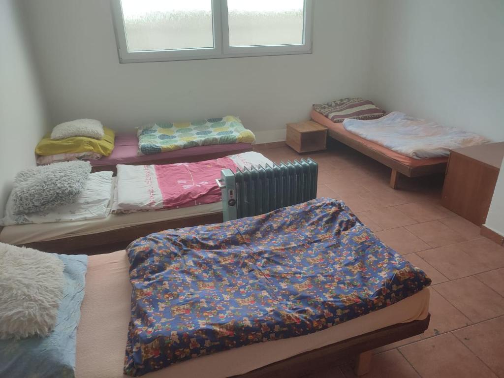 Zimmer mit 4 Betten in einem Zimmer in der Unterkunft Soukromé pokoje s klubovnou a zahradou in Slezské Pavlovice