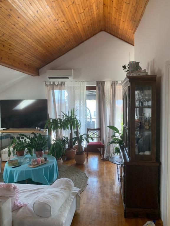 Televízia a/alebo spoločenská miestnosť v ubytovaní Apartment Danka