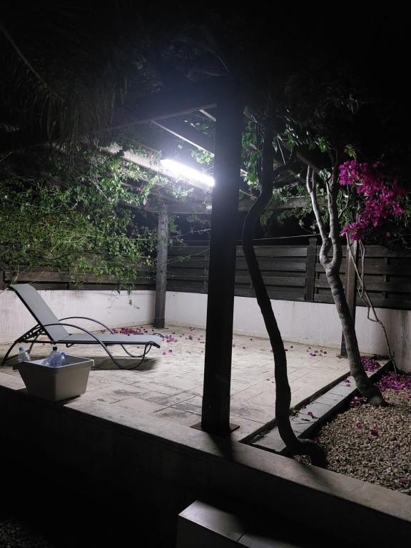 a view of a garden with a tree and a bench at Danitsea vila in Larnaca