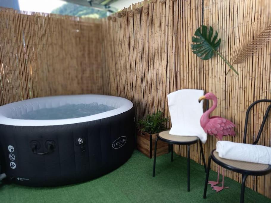 bañera de hidromasaje con 2 sillas y un flamenco rosa en ResaLoc - Maison Traditionnelle avec jardin en Saint-André