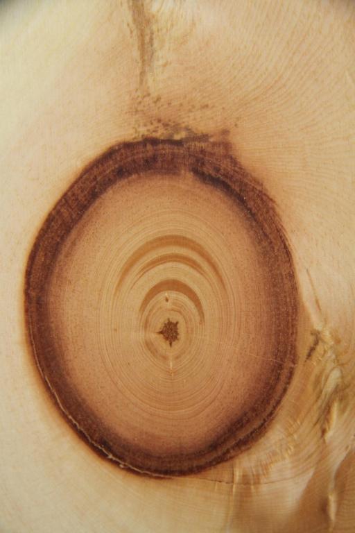 Lodge am Krippenstein - 13