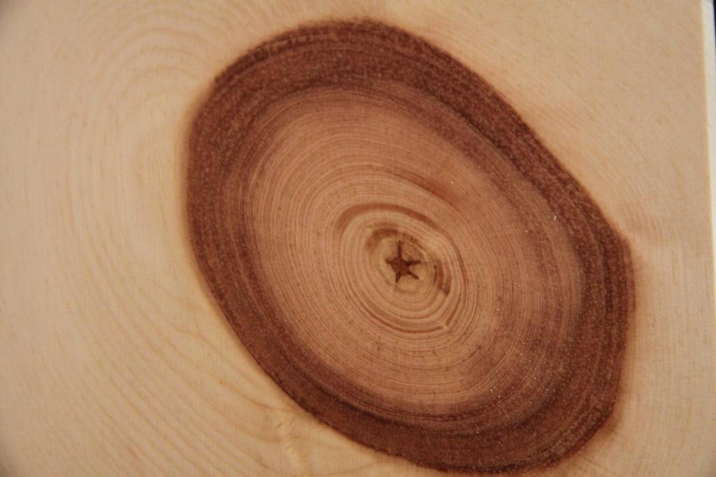 Lodge am Krippenstein - 19