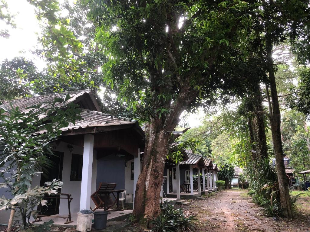 象島的住宿－Maleeya garden guest house，一条土路旁的一排小屋