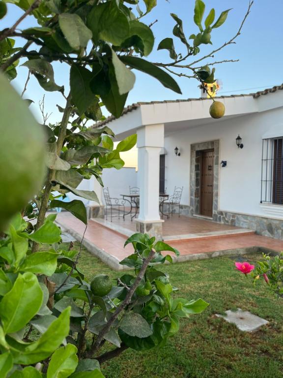 Vonkajšia záhrada v ubytovaní Chalet La Primera Piedra