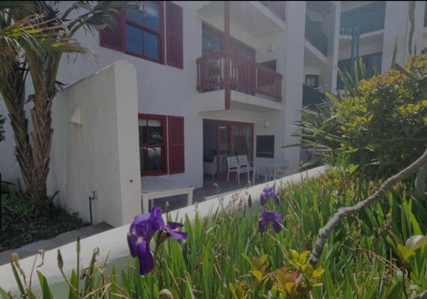 un edificio con flores púrpuras delante de él en Kaliva 394, Club Mykonos en Langebaan