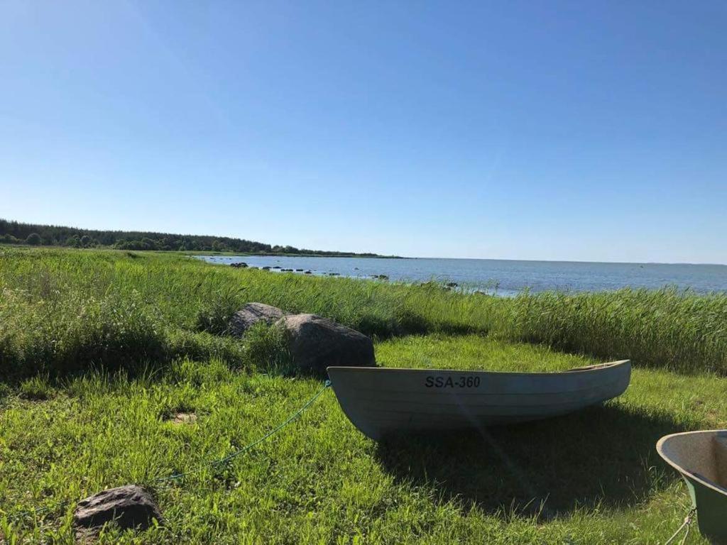 a boat sitting in the grass near the water at Nugise onn in Pallasmaa