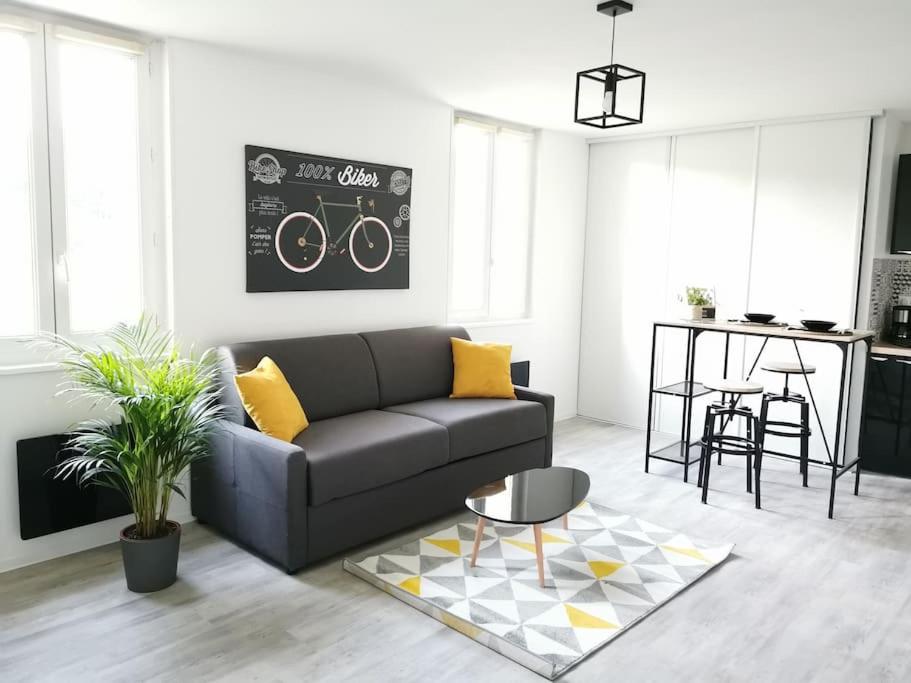 ein Wohnzimmer mit einem Sofa und einem Tisch in der Unterkunft LE BIKING *STUDIO (30m²) *WIFI*PARKING PRIVE*CALME in Lourdes