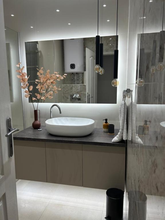 a bathroom with a sink and a mirror at Apartman Tara in Subotica