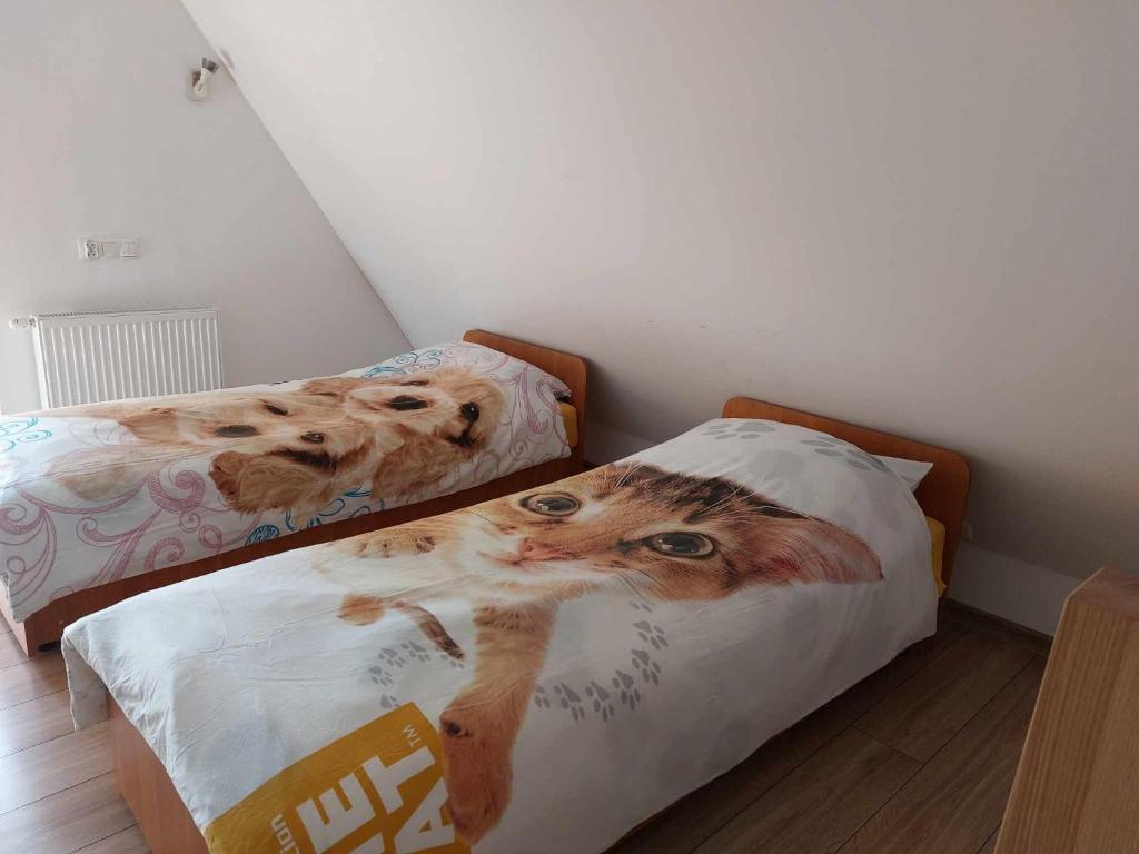 Posteľ alebo postele v izbe v ubytovaní Apartamenty CEDE Zakopane