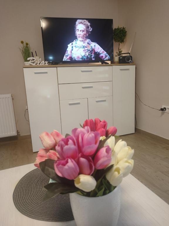 TV a/nebo společenská místnost v ubytování Villa Klaudija