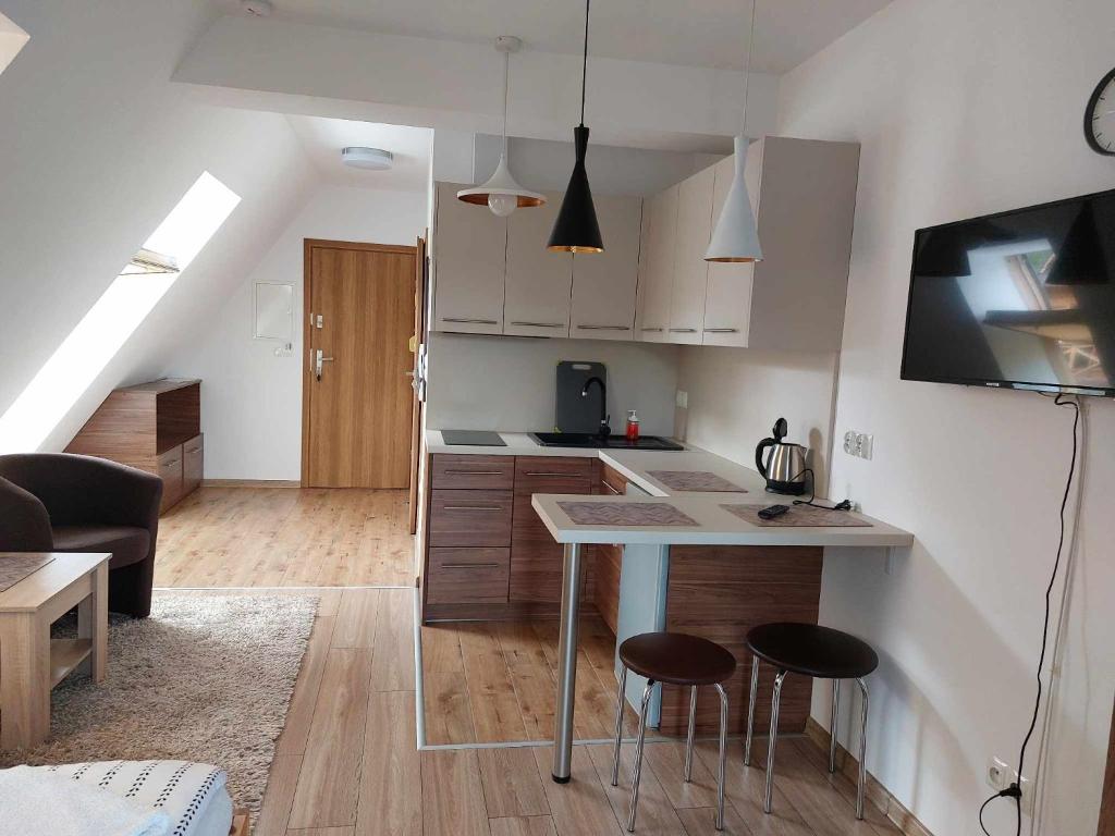 Kuchyňa alebo kuchynka v ubytovaní Apartamenty CEDE Zakopane