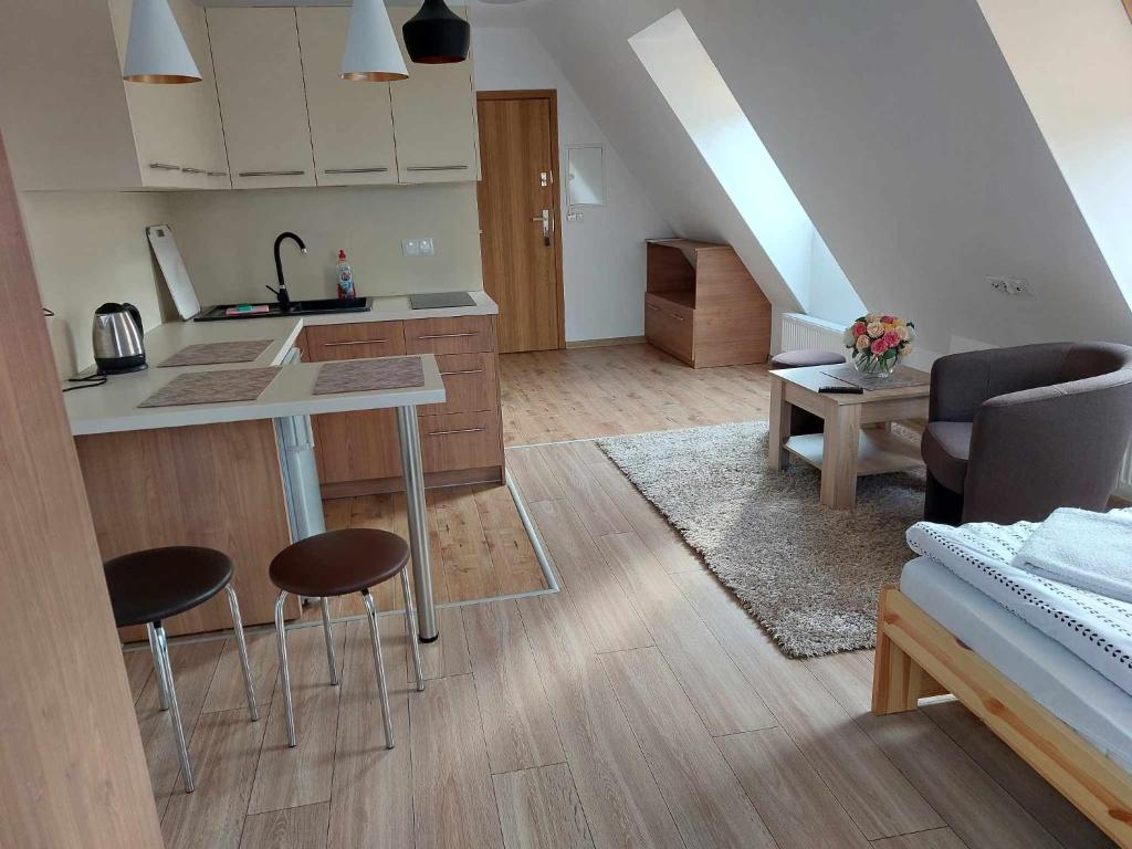 Kuchyňa alebo kuchynka v ubytovaní Apartamenty CEDE Zakopane