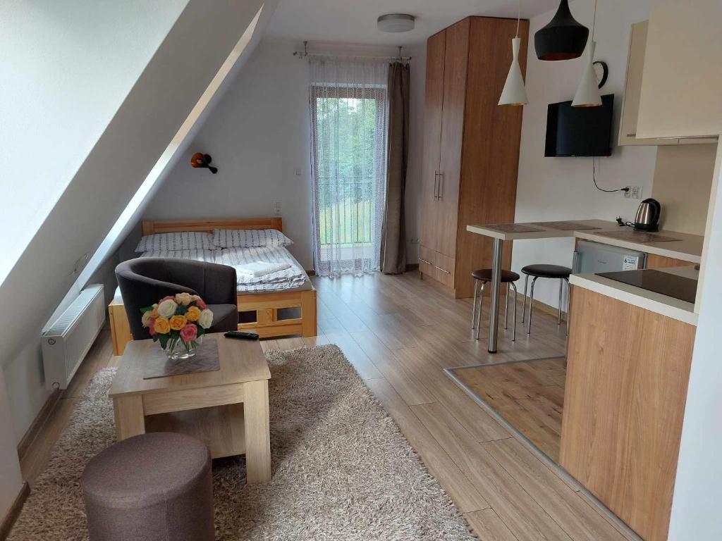 Kuchyňa alebo kuchynka v ubytovaní Apartamenty CEDE Zakopane