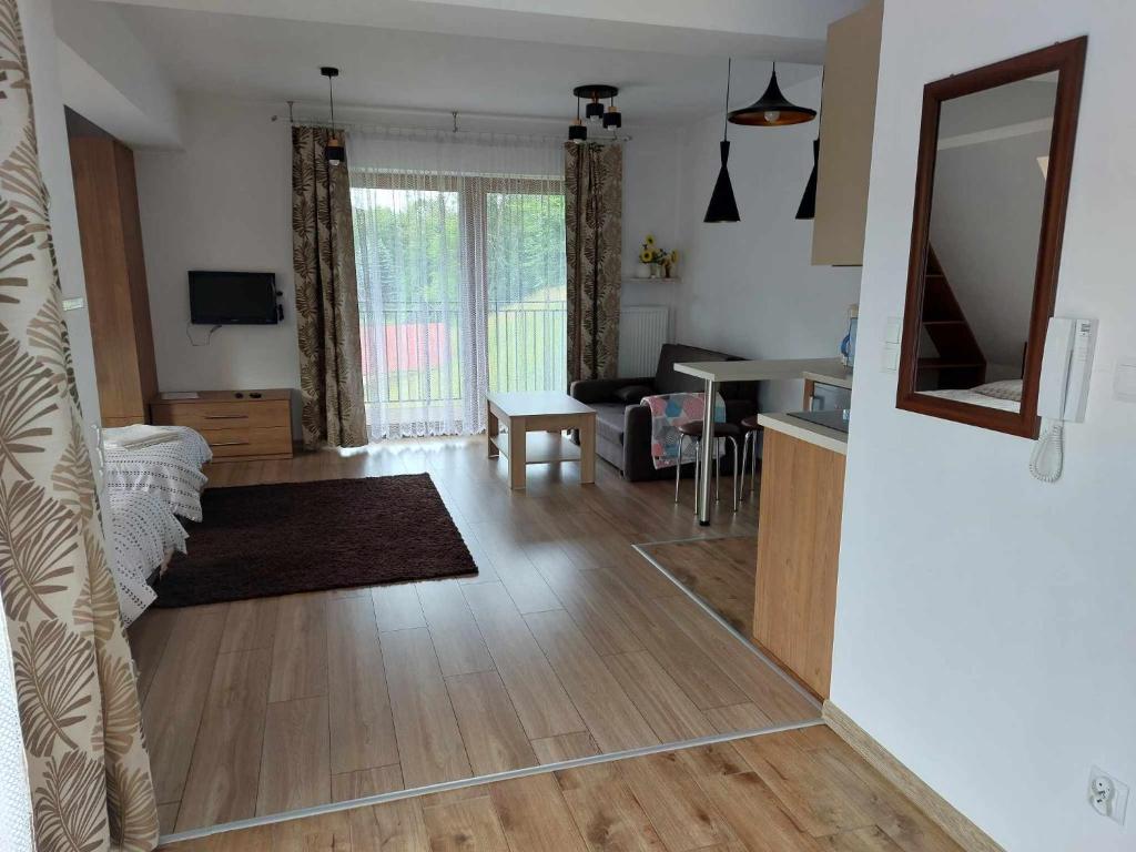 Televízia a/alebo spoločenská miestnosť v ubytovaní Apartamenty CEDE Zakopane