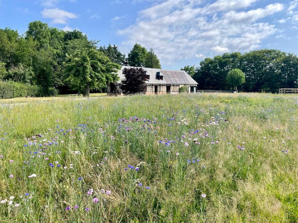 ein Blumenfeld vor einer Scheune in der Unterkunft Villa Fleurie 