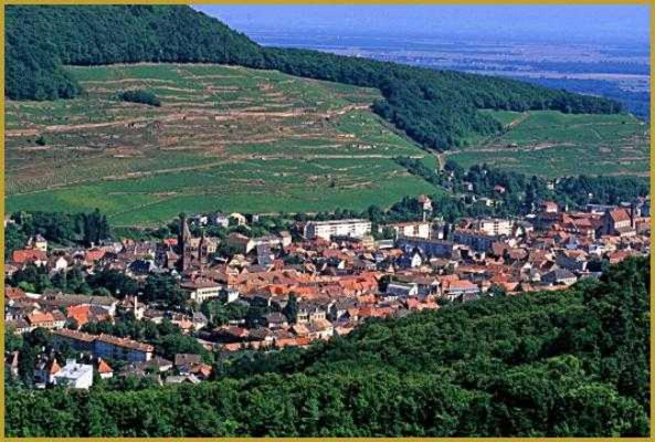 Appartement avec terrasse entre vignes, balades, Alsace – photo 24