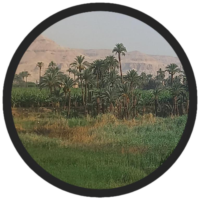 Paradise Found Luxor