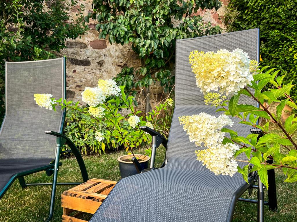 two chairs sitting in a yard with flowers at Storchenhof Teningen in Teningen