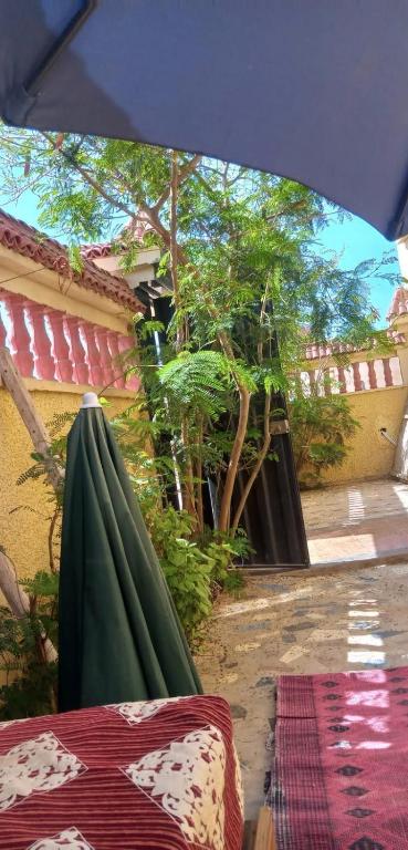 Gallery image of REPOS SURF HOUSE 2 in Sidi Ifni