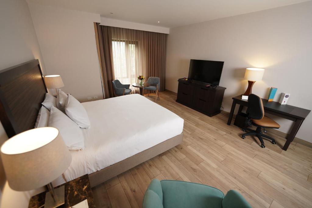 TV a/nebo společenská místnost v ubytování Hotel Morrison Zona Rosa