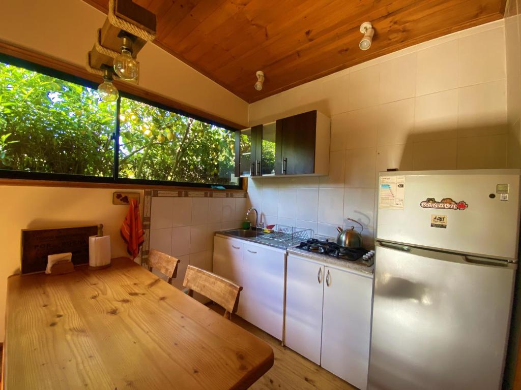 Kuchyň nebo kuchyňský kout v ubytování Cabañas SPA Olmue