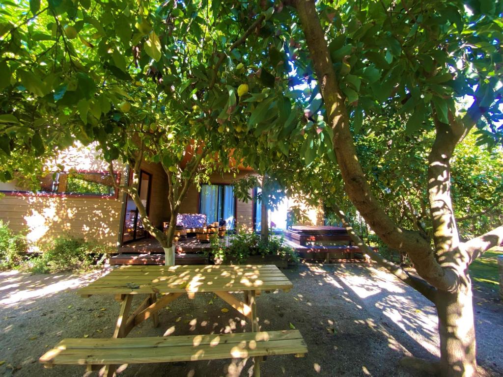 Zahrada ubytování Cabañas SPA Olmue