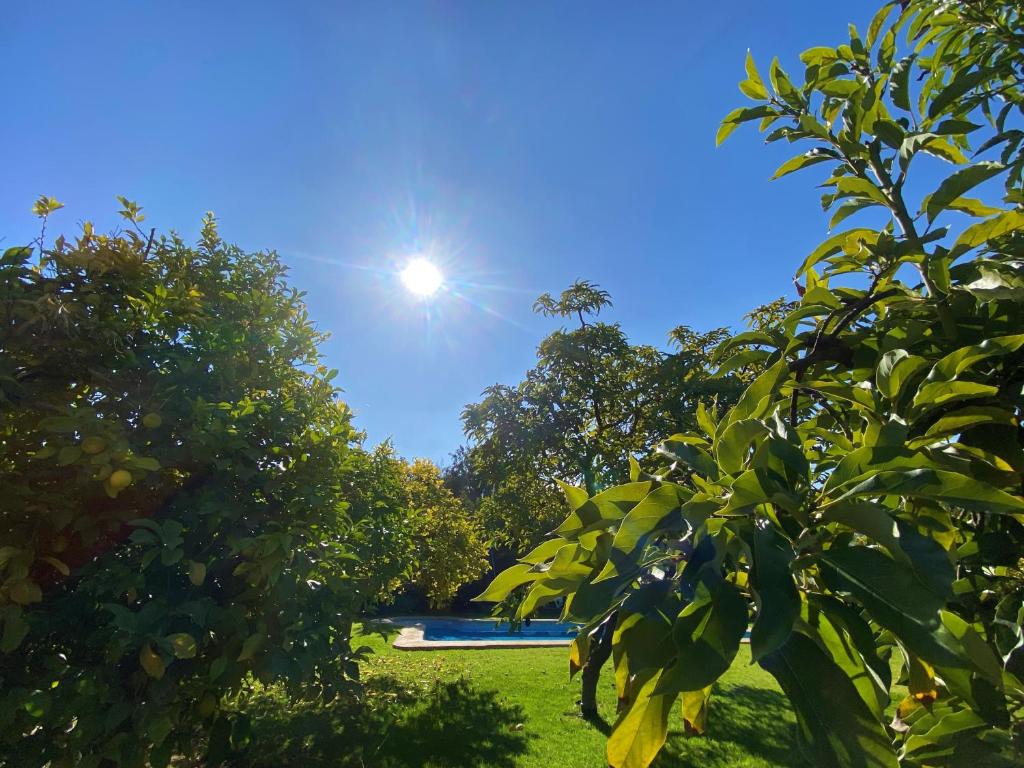 Zahrada ubytování Cabañas SPA Olmue