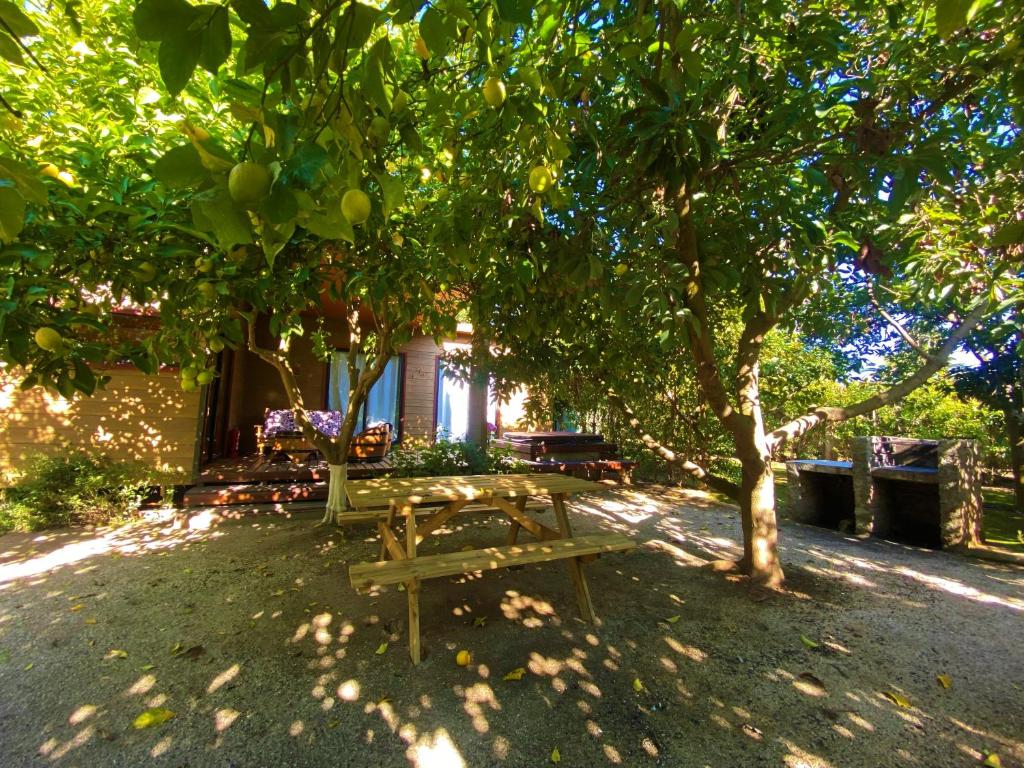 Zahrada ubytování Cabañas SPA Olmue