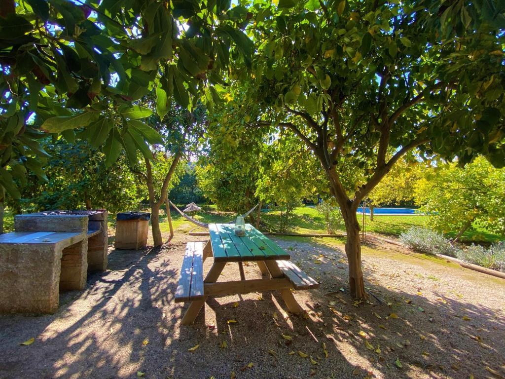 Zahrada ubytování Cabañas SPA Olmue