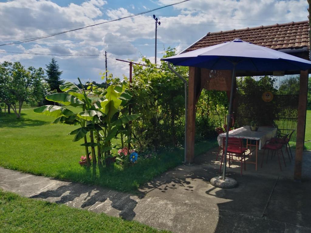 patio ze stołem i parasolem w obiekcie Blossom Cottage w mieście Laktaši