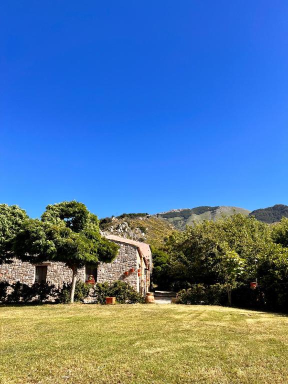 a house with a grass yard and a blue sky at Mandra Chiusilla in Collesano