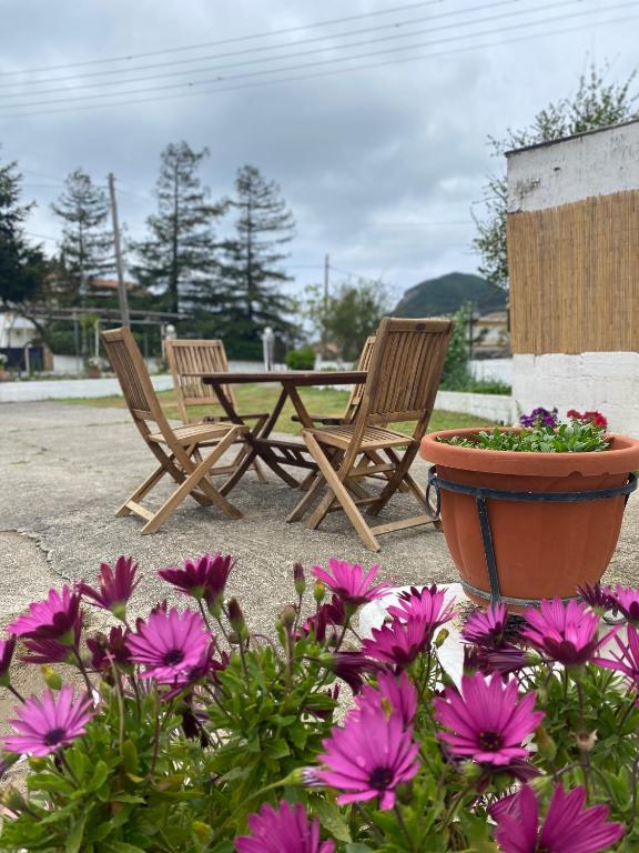 Zahrada ubytování Spacius Garden flat ,1km from the beach , Sleeps 5 ,by likeyourhome