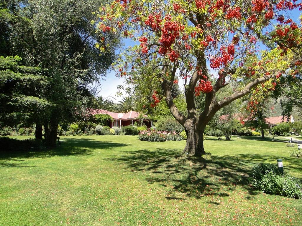 Hotel y Cabañas Palomar - Caja los Andes, San Felipe (precios ...