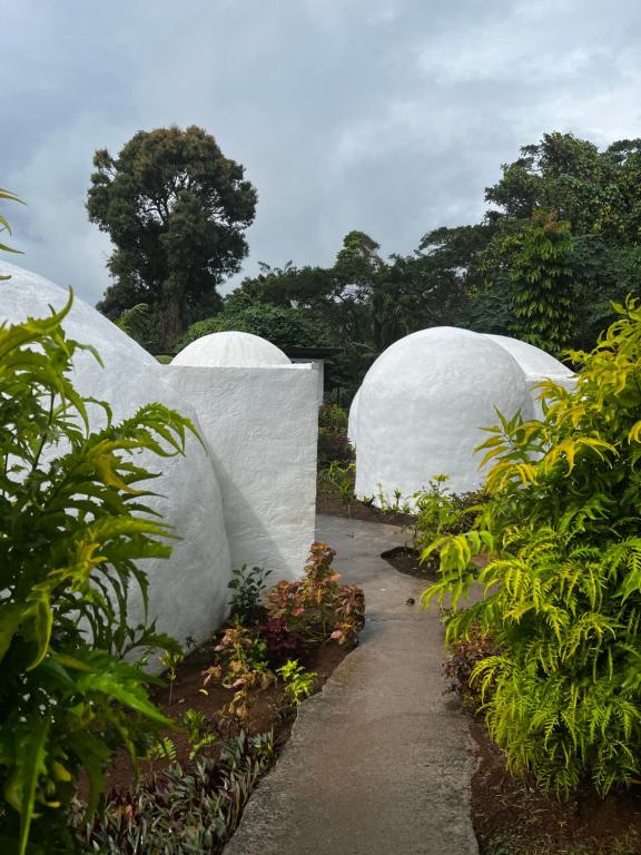 Zahrada ubytování Camp Taveuni